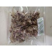 ราคา ดอกรักซ้อนสีม่วง(ตายพราย) (8641269315)