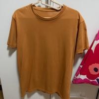 ราคา เสื้อยืด Uniqlo สีเหลืองมัสตาร์ด (2903468974)