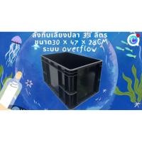 ราคา ลังทึบเลี้ยงปลาสีดำ 39 ลิตร ระบบoverflow อ่างเปล อ่างปลาบอลลูน อ่างปลาหางนกยูง อ่างเปล่า อ่างเลี้ยงปลา ลังทึบเลี้ยงปลา (49110043097)