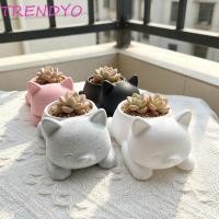 ราคา TRENDYO กระถางดอกไม้แมว, กล่องเก็บของรูปแมวน่ารักพิมพ์ลาย 3 มิติ, เครื่องประดับตลกตกแต่งกระถางต้นไม้ขนาดเล็กอเนกประสงค์สวนปลูก (47360226370)