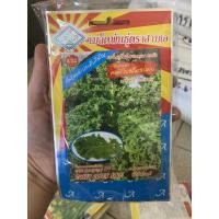 ราคา เมล็ดพันธุ์คะน้าใบสลัด คะน้าเคลใบหยิก สามเอ พันธ์ุคะน้าประดับกินใบ (5751167202)