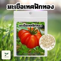 ราคา เมล็ดพันธุ์ มะเขือเทศฟักทอง บรรจุ 100 เมล็ด เมล็ดพันธุ์ผัก เมล็ดพันธุ์พืช ปลูกผักสวนครัว ปลูกผักกินเอง (29468835976)