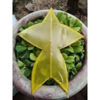 ราคา ว่าวจุฬาจิ๋ว,ว่าวจุฬาแก้บน ขนาด40cm (55960623833)