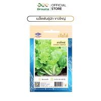 ราคา CHIA TAI เมล็ดพันธุ์ผัก เจียไต๋ เมล็ดผักพื้นบ้าน ผักซอง ผักขาวใหญ่ (41879551884)