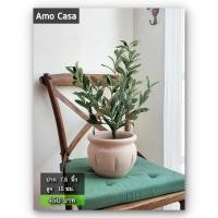 ราคา Amocasa (ลดราคาพิเศษ เฉพาะ มี.ค. 69) กระถางต้นไม้ ดินเผา ทรงกลม น่ารัก ปาก 7.5นิ้ว สูง 15 ซม. (รบกวน order ละ 1 ใบ) (26182269680)