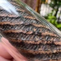 ราคา ตะกรุดแฝดสาริกาโสฬสมงคล(ตะกรุดเศรษฐี)เนื้อทองแดงกลับสำริด หลวงพ่อกลั่น วัดพระญาติการาม (23268183515)