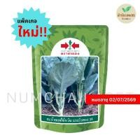 ราคา คะน้าบางบัวทอง35 100 กรัม เมล็ดพันธุ์ ตราศรแดง (24578968709)