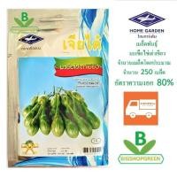 ราคา 5 ฟรี 1 คละได้ทั้งร้าน เมล็ดพันธุ์ มะเขือไข่เต่าเขียว เจียไต๋ (5406827174)