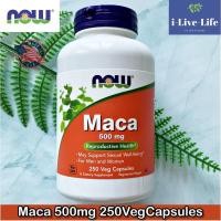 ราคา Maca 500 mg 250 Veg Capsules - Now Foods มาคาสกัด (5709087148)