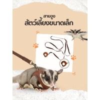 ราคา ชุดสายจูงสัตว์เลี้ยงขนาดเล็ก ชูการ์ไกลเดอร์ แฮมสเตอร์ กระรอก สายรัดอก 3 ไซส์ + สายจูง 150 ซม. | 4 สี (54455435326)