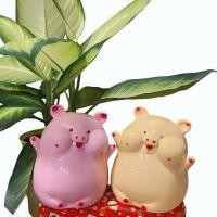 ราคา กระปุกออมสินออมทรัพย์ โมเดลหมูขนมจีบน่ารัก (56160679503)