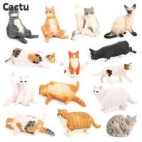 ราคา Cactu จําลองแมว, PVC เหมือนจริงสัตว์เลี้ยง Figurines, น่ารักสยาม Ragdoll แมวเปอร์เซียแมวรูปปั้นเครื่องประดับตุ๊กตาเด็กของเล่น (24792649317)