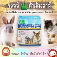 ราคา ร้านโทโมะ หญ้าอบ Jolly Wheat Grass ต้นข้าวสาลี อบ Hand-Picked หญ้ากระต่าย แกสบี้ แพรี่ด๊อก หญ้าจอลลี่ อาหารกระต่าย (5333057573)