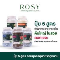 ราคา Rosy ปุ๋ยกุหลาบ บำรุงกุหลาบครบทุกส่วนของต้น ใช้ครบ 5 สูตร กุหลาบได้รับสารอาหารครบถ้วน ปุ๋ยกุหลาบ (22270366319)