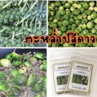 ราคา เมล็ดพันธุ์ กะหล่ำปลีดาว 250 เมล็ด Brussels Sprouts กะหล่ำดาว (4012373198)