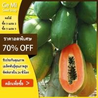 ราคา GEMI เมล็ดพันธุ์มะละกอฮอลแลนด์ บรรจุ 100 เมล็ด ต้นเตี้ย ปลูกง่ายให้ผลผลิตดีมาก (50561273687)