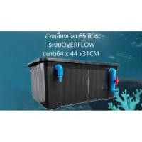 ราคา อ่างเลี้ยงปลา 65 ลิตร อ่างดำท่อฟ้า สองระบบ ระบบระบายน้ำดูดบนดูดล่าง 64x44x31ซ. อ่างปลาสวย กะบะเลี้ยงปลา อ่างปลาบอลลูน (47955430310)