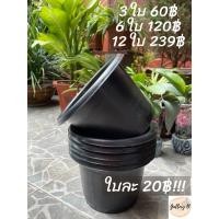 ราคา กระถางต้นไมั กระถางกลม 8 นิ้ว สีดำ พลาสติกหนา เเข็งเเรงทนทาน ราคาถูก (10960000201)