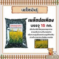 ราคา เมล็ดพันธุ์ปอเทือง บรรจุ 15กิโลกรัม เมล็ดปอเทือง สายพันธ์ปอเทือง พันธุ์ปอเทือง เม็ดพันธุ์ปอเทือง ดอกปอเทือง เม็ดปอเทือง (26165476461)