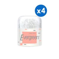 ราคา [4ชิ้น]Evergreen เอเวอร์กรีน สำลีก้านเอเวอร์กรีน 100 ก้านกระปุก (19119648848)