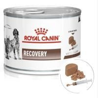 ราคา Royal Canin สูตร Recovery (54154870075)