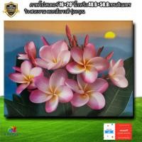 ราคา ภาพโปสเตอร์วิว ดอกลีลาวดีสีชมพูรุ่งอรุณ ขนาด16×20"นิ้ว (14790323190)