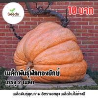 ราคา เมล็ดพันธุ์ฟักทองยักษ์ บรรจุ 2 เมล็ด (51608208875)