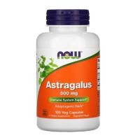 ราคา NOW Foods, Astragalus, 500 mg, 100 Veg Capsules (43530713728)