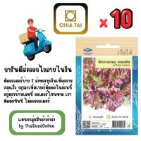ราคา CTOP x 10 เมล็ดผักซองเจียไต๋ ผักกาดหอมเพอเพิล สินค้ายกแพ็ค (48453311543)