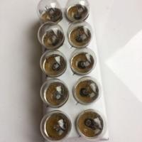 ราคา ขาย59บาท_หลอดไฟท้ายรถยนต์ G18 12v/10w (7939906003)