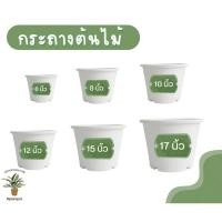 ราคา กระถางต้นไม้ สีขาว กระถางพลาสติก กระถางต้นไม้พลาสติก 10 นิ้ว 12 นิ้ว 15 นิ้ว 17 นิ้ว สีขาว (พลาสติกเกรด A) (24437426155)