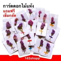 ราคา การ์ดดอกไม้แห้ง ดอกสแตติส (การ์ดสีขาว) แถมฟรี เข็มกลัด พร้อมซองใส การ์ดอวยพร ของขวัญ วันปัจฉิม วันเรียนจบ (16079381213)