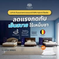 ราคา LOTUS ที่นอนยางพารา 100% I-Latex Series I II III ไร้การสั่นไหว หลับสนิทตลอดคืน ฟรีหมอนสุขภาพ ส่งฟรี (13815533934)