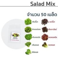 ราคา เมล็ดพันธุ์ ผักสลัด รวม (Salad Mix) (1401633818)
