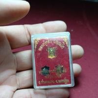ราคา เต่าจิ๋วหลวงปู่หลิววัดไร่แตงทอง..นครปฐม (50160999300)