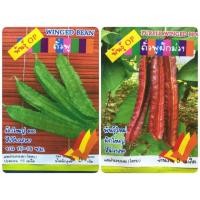 ราคา เมล็ดถั่วพู (Winged Bean) ถั่วพูฝักม่วง ถั่วพูฝักเขียว (1361874200)
