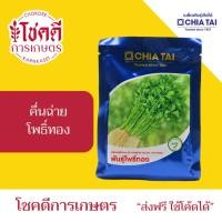 ราคา คื่นฉ่าย โพธิ์ทอง เมล็ดพันธุ์ ขึ้นฉ่าย ต้นขาว ตราเจียไต๋ บรรจุ 50 กรัม (47100756684)