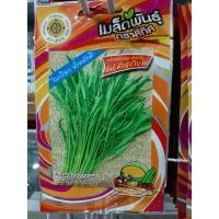ราคา เมล็ดผักบุ้ง (10 แถม 1 คละได้) ผักบุ้งใบไผ่ ใบเรียว เมล็ดพันธุ์ผัก ผักบุ้ง ผักบุ้งจีน (6813472413)