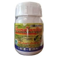 ราคา มิสโต้ ขนาด 100 ซีซี - 500 ซีซี (บ.แอทลาส) (26514450186)