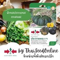 ราคา GGEW เมล็ดพันธุ์ซฟ ฟักทองประกายทอง ตราศรแดง Pumpkin (580465713)