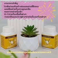 ราคา แพคคู่ เขากวางอ่อนแคปซูลของแท้( 2 ขวด) (41608528357)