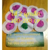 ราคา ไส้ตะเกียงแก๊ส ขนาดเล็ก (1 ห่อ=10 ไส้) BULIN BL300 ตะเกียงขนาดเล็ก ไส้ 2 ผูกเล็ก เนื้อโคลแมน ตะเกียง อุปกรณ์ให้แสงสว่าง (8501320119)