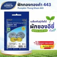 ราคา Easy เมล็ดพันธุ์ ฟักทอง ทองคำ443 2กรัม เจียไต๋ Pumpkin Thong Kham 443 (41879148094)