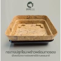 ราคา กระถางปลูกต้นไม้ทำจากใยมะพร้าว พร้อมถาดรอง ขนาด 15x15x4 cm กระถางสามารถย่อยสลายได้ตามธรรมชาติ (DP002) (5682333704)