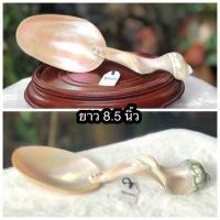 ราคา เก่าเก็บ ราคาต่อชิ้น สวยสมบูรณ์ ทัพพีมุก ทำจากหอยมุกไฟแท้ ด้ามจับเจาะยึดด้วยหมุดทองเหลือง (24213672680)