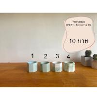 ราคา กระถางมินิมอล กระถางแคคตัส (13510934451)