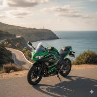 ราคา มือเบรค - ครัช Kawasaki Z300/ ninja 300/ Z125 สีเงินขาว (47304845790)