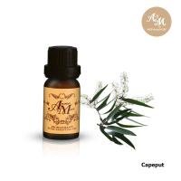 ราคา Aroma&More Cajeput (Cajuput) Essential Oil 100% น้ำมันหอมระเหยคาจิพุด100% อินโดนีเซีย Indonesia 10/30ML (2129680109)