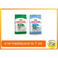 ราคา Royal canin mini Junior / Adult อาหารสุนัขแบ่งขาย 1 กก. (1152092594)