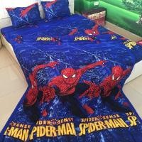 ราคา ฝาครอบ BEDDING และ PILLOW ทั้งชุด 5 ชิ้น - โมเดลคอนดิชั่นเนอร์ SUPERMAN SPIDER (41163528570)